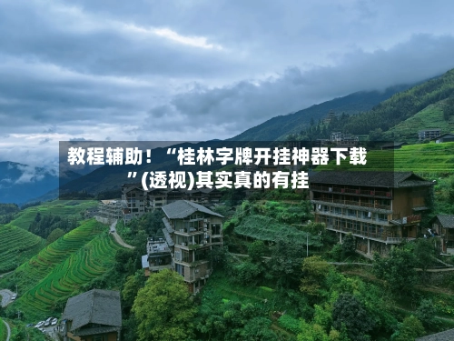 教程辅助！“桂林字牌开挂神器下载”(透视)其实真的有挂-第2张图片