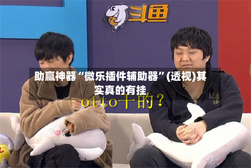助赢神器“微乐插件辅助器”(透视)其实真的有挂-第2张图片