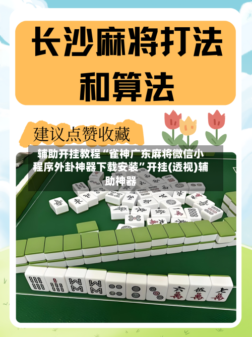 辅助开挂教程“雀神广东麻将微信小程序外卦神器下载安装”开挂(透视)辅助神器-第3张图片
