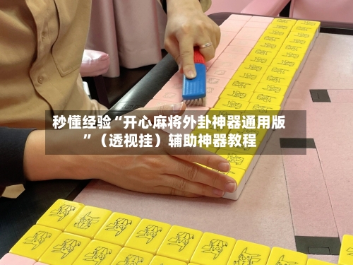 秒懂经验“开心麻将外卦神器通用版”（透视挂）辅助神器教程-第2张图片