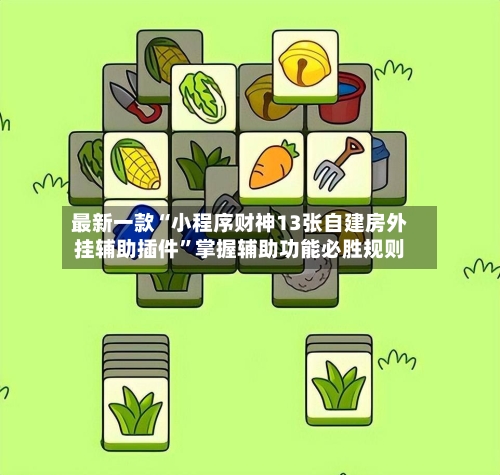 最新一款“小程序财神13张自建房外挂辅助插件	”掌握辅助功能必胜规则-第2张图片