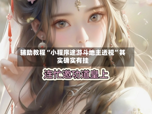 辅助教程“小程序途游斗地主透视”其实确实有挂-第2张图片