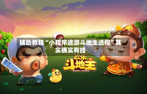 辅助教程“小程序途游斗地主透视”其实确实有挂-第3张图片