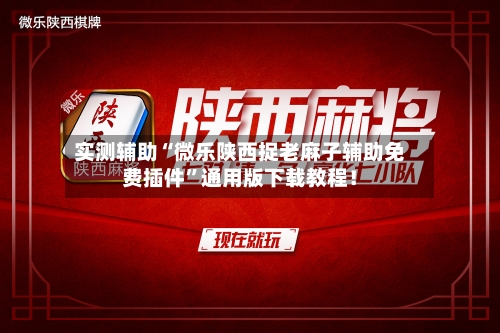 实测辅助“微乐陕西捉老麻子辅助免费插件”通用版下载教程！-第2张图片