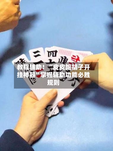 教程辅助！“皮皮跑胡子开挂神器	”掌握辅助功能必胜规则-第2张图片