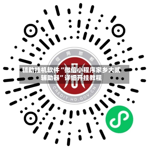 辅助挂机软件“微信小程序家乡大贰辅助器”详细开挂教程