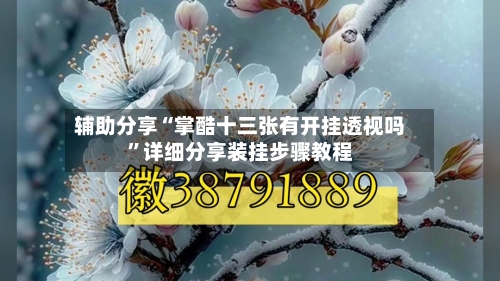 辅助分享“掌酷十三张有开挂透视吗”详细分享装挂步骤教程-第2张图片
