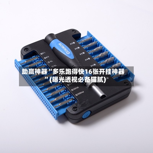 助赢神器“多乐跑得快16张开挂神器”(曝光透视必备猫腻)