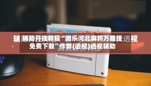 辅助开挂教程“微乐河北麻将万能挂免费下载”作弊(透视)透视辅助-第2张图片