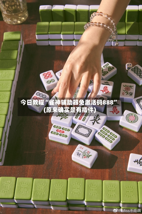 今日教程“雀神辅助器免激活码888”(原来确实是有插件)