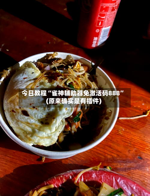今日教程“雀神辅助器免激活码888”(原来确实是有插件)-第3张图片