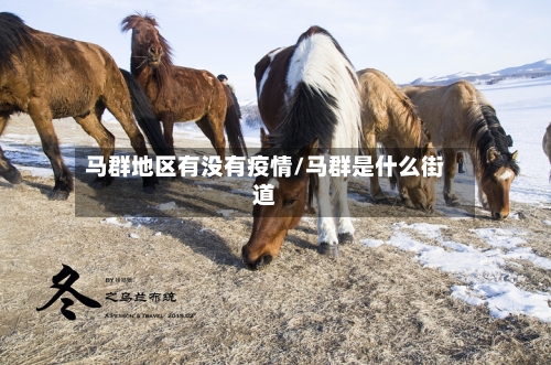 马群地区有没有疫情/马群是什么街道