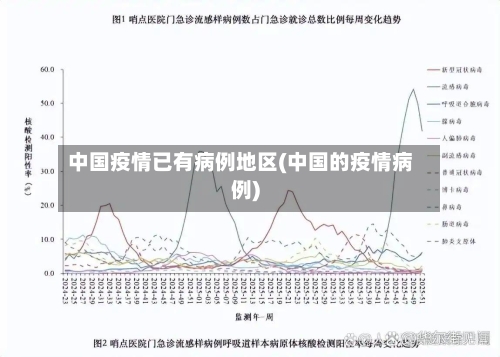 中国疫情已有病例地区(中国的疫情病例)-第3张图片