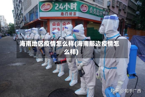 海南地区疫情怎么样(海南那边疫情怎么样)-第2张图片