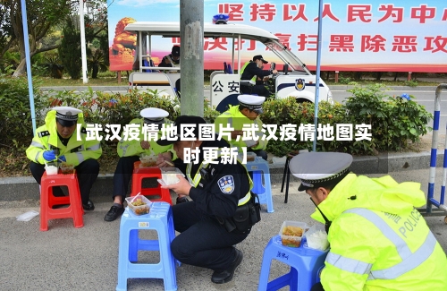 【武汉疫情地区图片,武汉疫情地图实时更新】-第2张图片