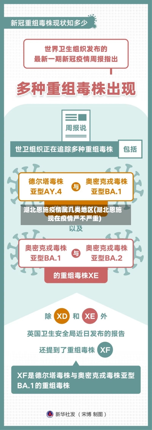 湖北恩施疫情属几类地区(湖北恩施现在疫情严不严重)-第3张图片