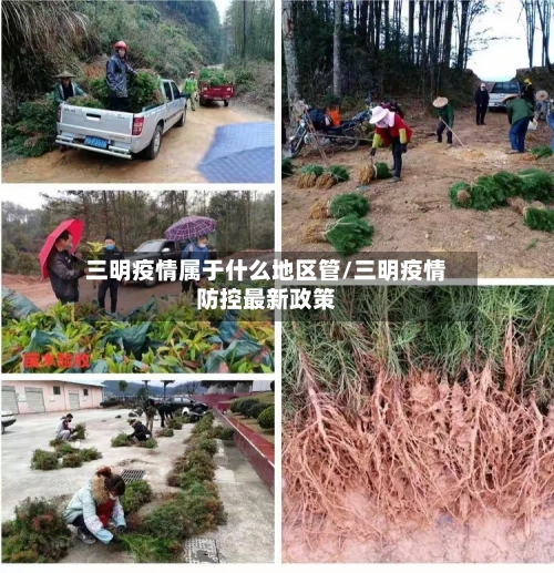 三明疫情属于什么地区管/三明疫情防控最新政策-第2张图片