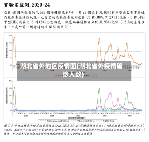 湖北省外地区疫情图(湖北省外疫情确诊人数)