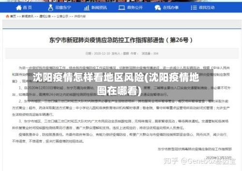 沈阳疫情怎样看地区风险(沈阳疫情地图在哪看)