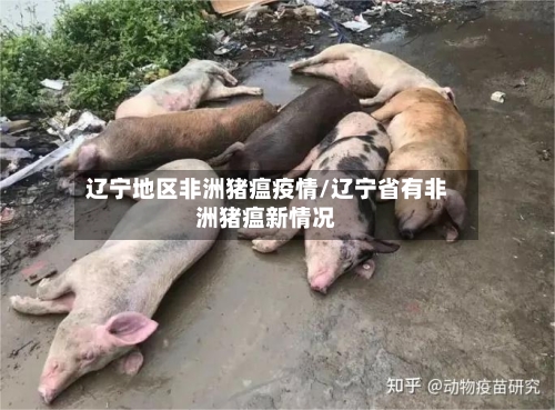 辽宁地区非洲猪瘟疫情/辽宁省有非洲猪瘟新情况