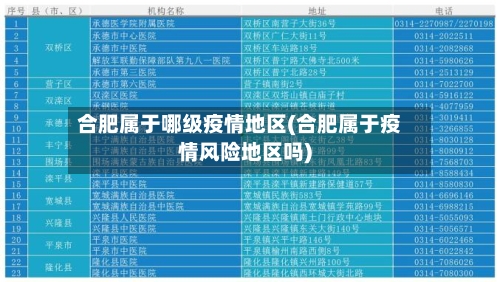 合肥属于哪级疫情地区(合肥属于疫情风险地区吗)-第2张图片