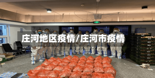 庄河地区疫情/庄河市疫情-第3张图片