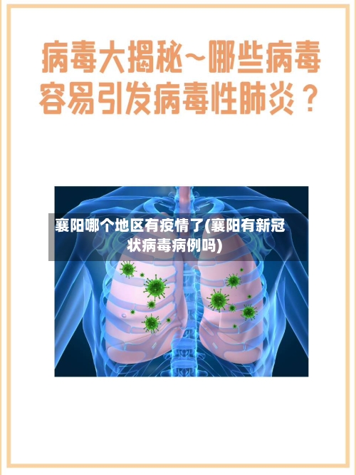 襄阳哪个地区有疫情了(襄阳有新冠状病毒病例吗)-第3张图片