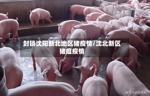 封锁沈阳新北地区猪疫情/沈北新区猪瘟疫情