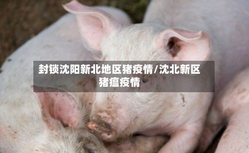 封锁沈阳新北地区猪疫情/沈北新区猪瘟疫情-第3张图片