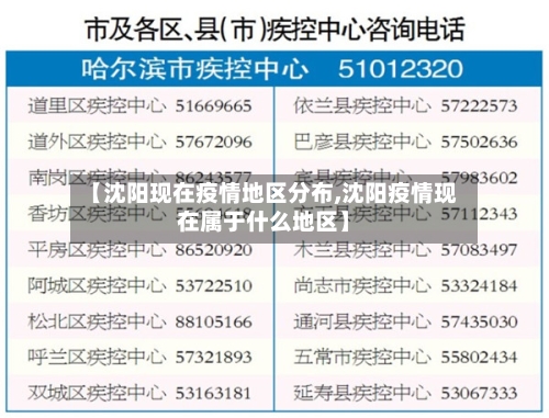 【沈阳现在疫情地区分布,沈阳疫情现在属于什么地区】