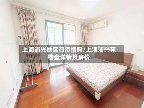 上海浦兴地区有疫情吗/上海浦兴苑楼盘详情及房价