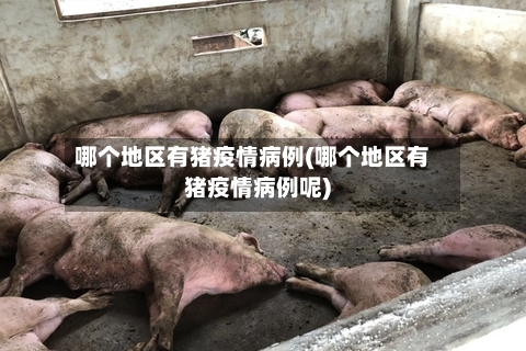 哪个地区有猪疫情病例(哪个地区有猪疫情病例呢)-第2张图片