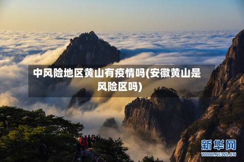中风险地区黄山有疫情吗(安徽黄山是风险区吗)-第3张图片