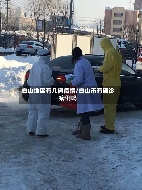 白山地区有几例疫情/白山市有确诊病例吗