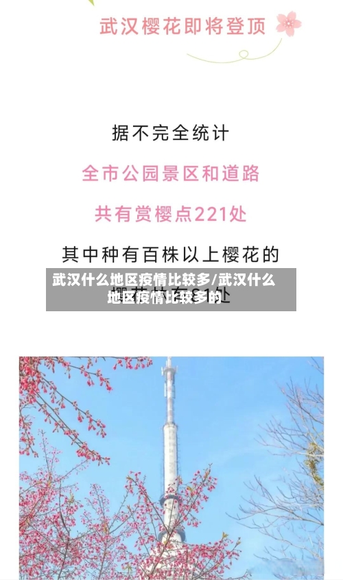 武汉什么地区疫情比较多/武汉什么地区疫情比较多的-第2张图片