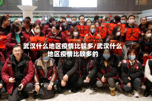 武汉什么地区疫情比较多/武汉什么地区疫情比较多的-第3张图片